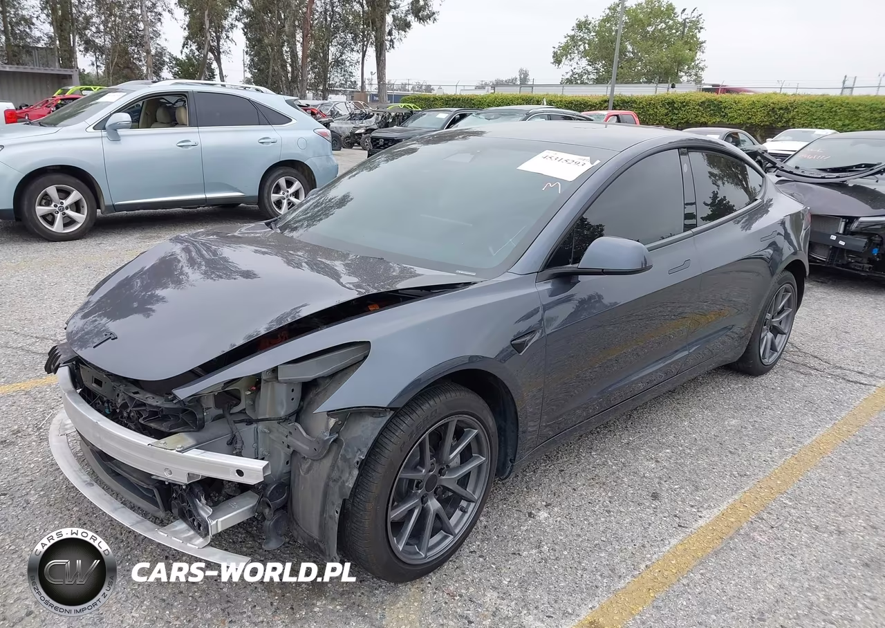 2023 Tesla Model 3 Rear-Wheel Drive VIN:5YJ3E1EAXPF409754 - 2