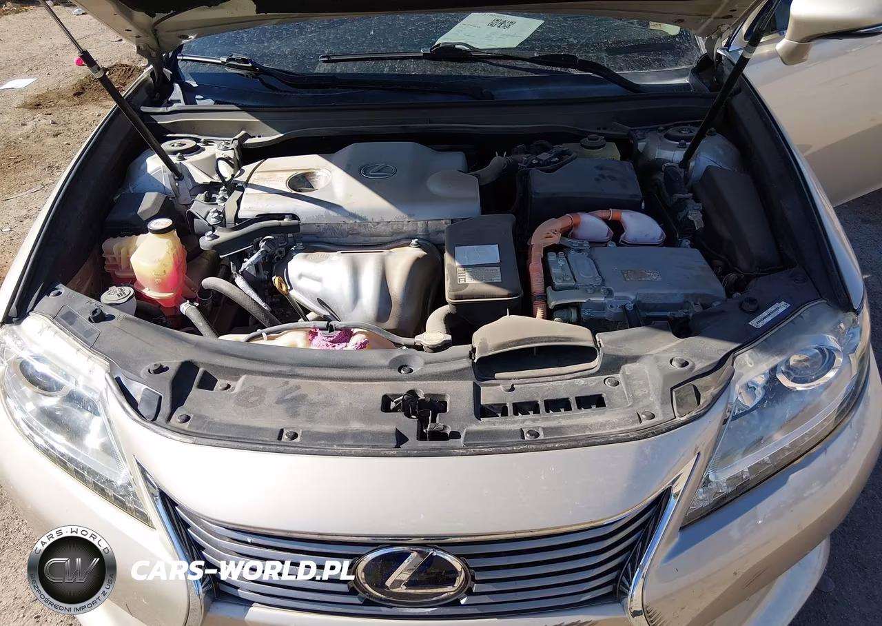 2013 Lexus Es 300H VIN:JTHBW1GG7D2013255 - 10