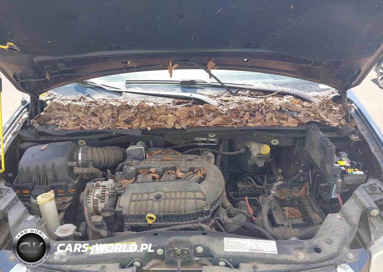 2008 Dodge Grand Caravan Sxt VIN:2D8HN54X68R650513 - 10