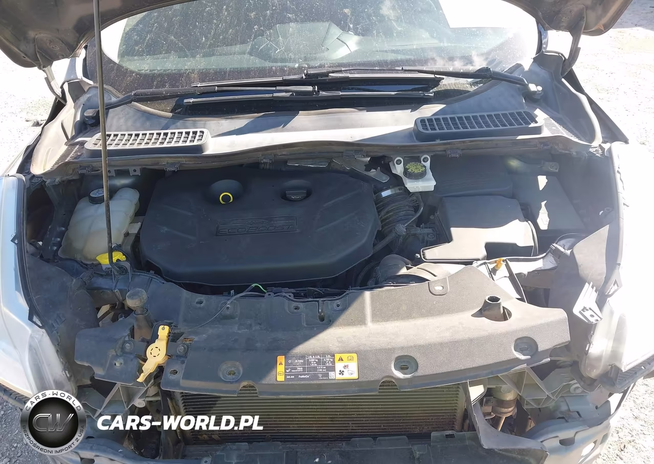 2013 Ford Escape Sel VIN:1FMCU0H94DUA25384 - 10