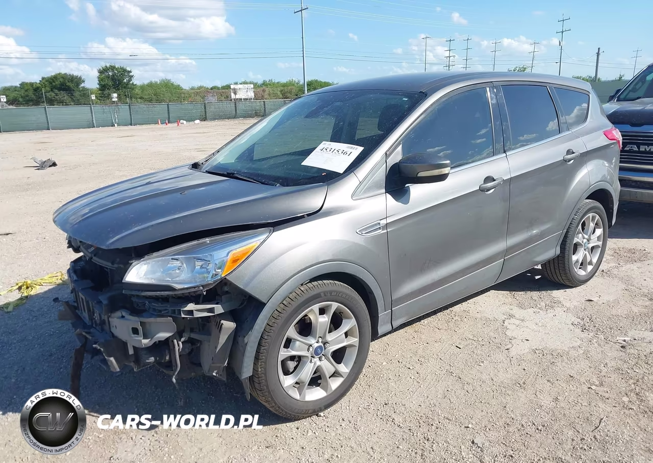 2013 Ford Escape Sel VIN:1FMCU0H94DUA25384 - 2