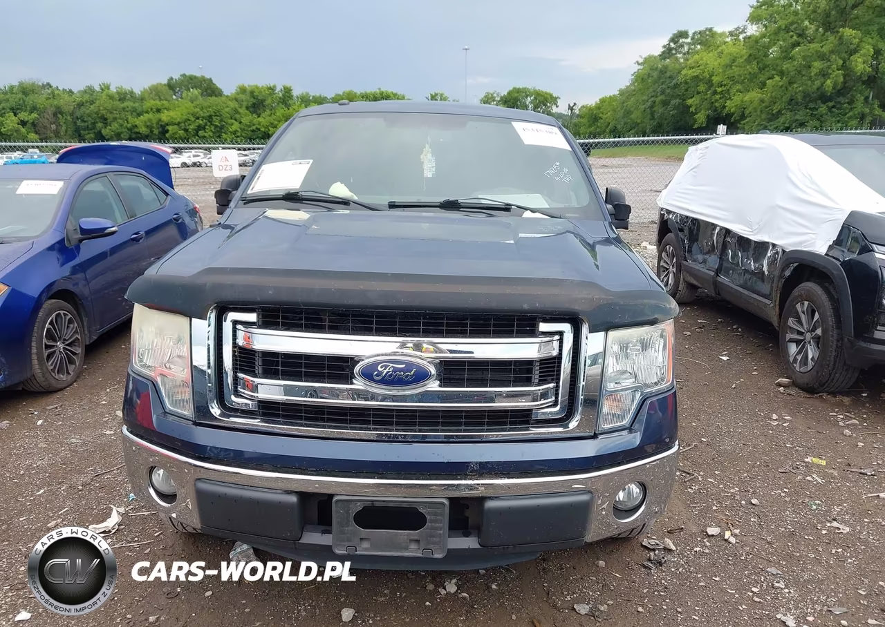 2013 Ford F-150 Xlt VIN:1FTEX1CM1DFD92530 - 12