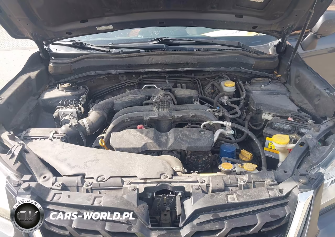 2017 Subaru Forester 2.5I VIN:JF2SJAAC4HH535917 - 10