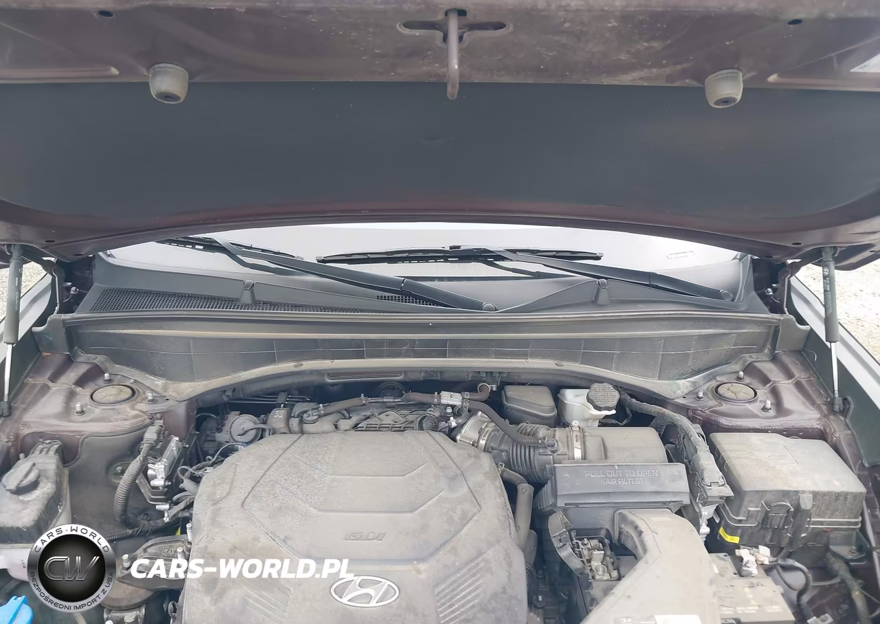 2022 Hyundai Palisade Calligraphy VIN:KM8R74HEXNU454522 - 10