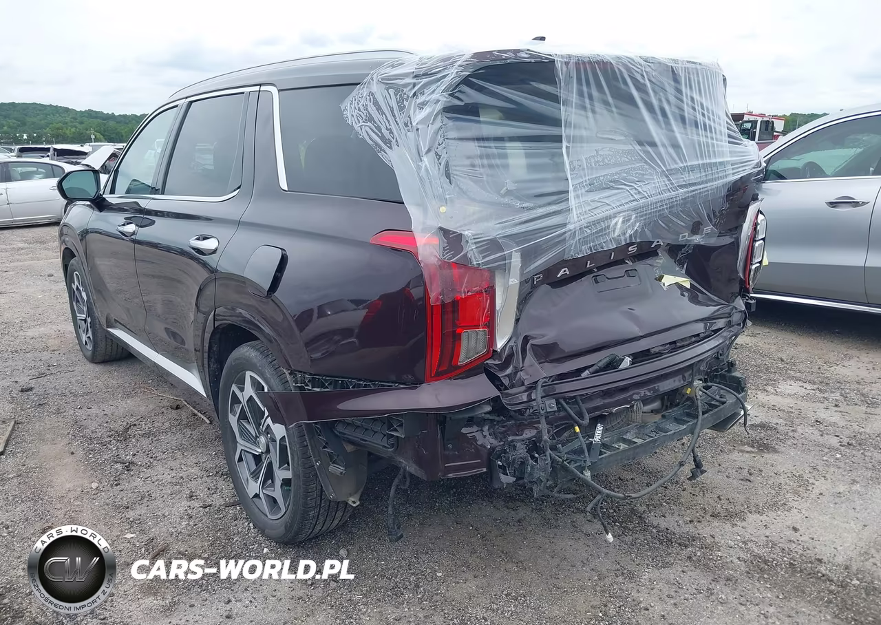 2022 Hyundai Palisade Calligraphy VIN:KM8R74HEXNU454522 - 3