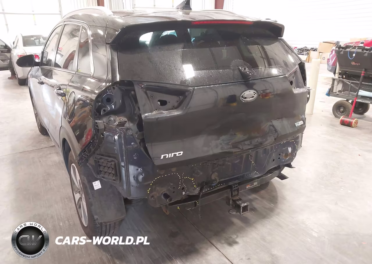 2018 Kia Niro Plug-In Hybrid Lx VIN:KNDCM3LD6J5157490 - 6
