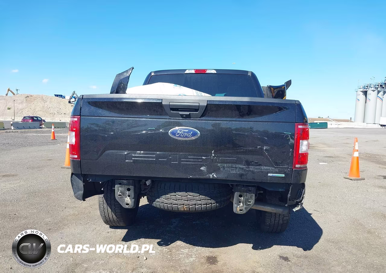 2020 Ford F-150 Xl VIN:1FTEW1EPXLKD06941 - 16