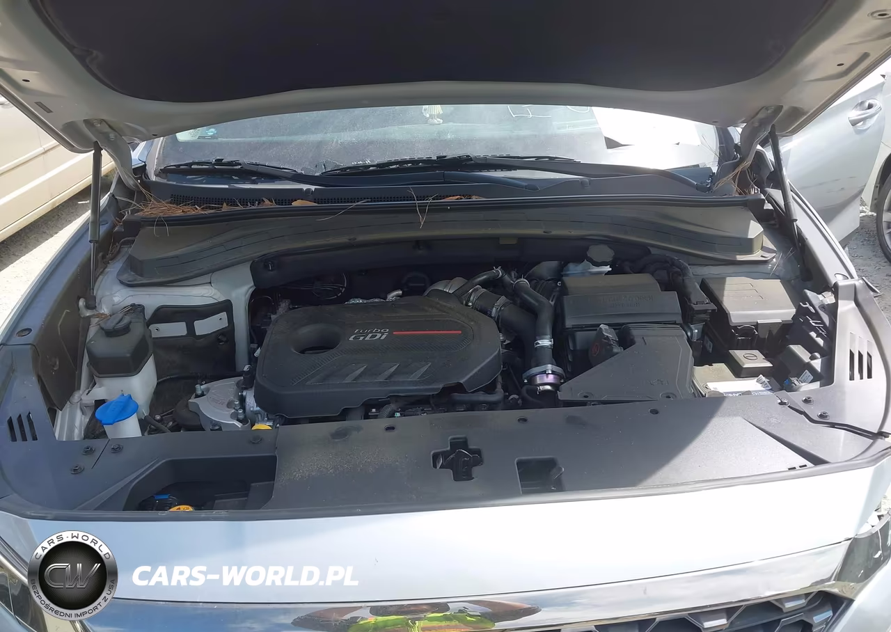 2020 Hyundai Santa Fe Limited 2.0T VIN:5NMS53AA8LH274876 - 10