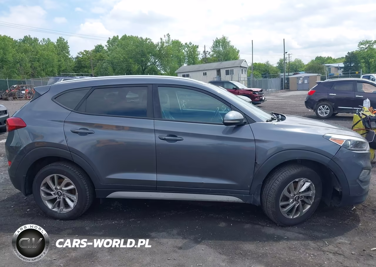 2018 Hyundai Tucson Sel Plus VIN:KM8J3CA41JU832788 - 13