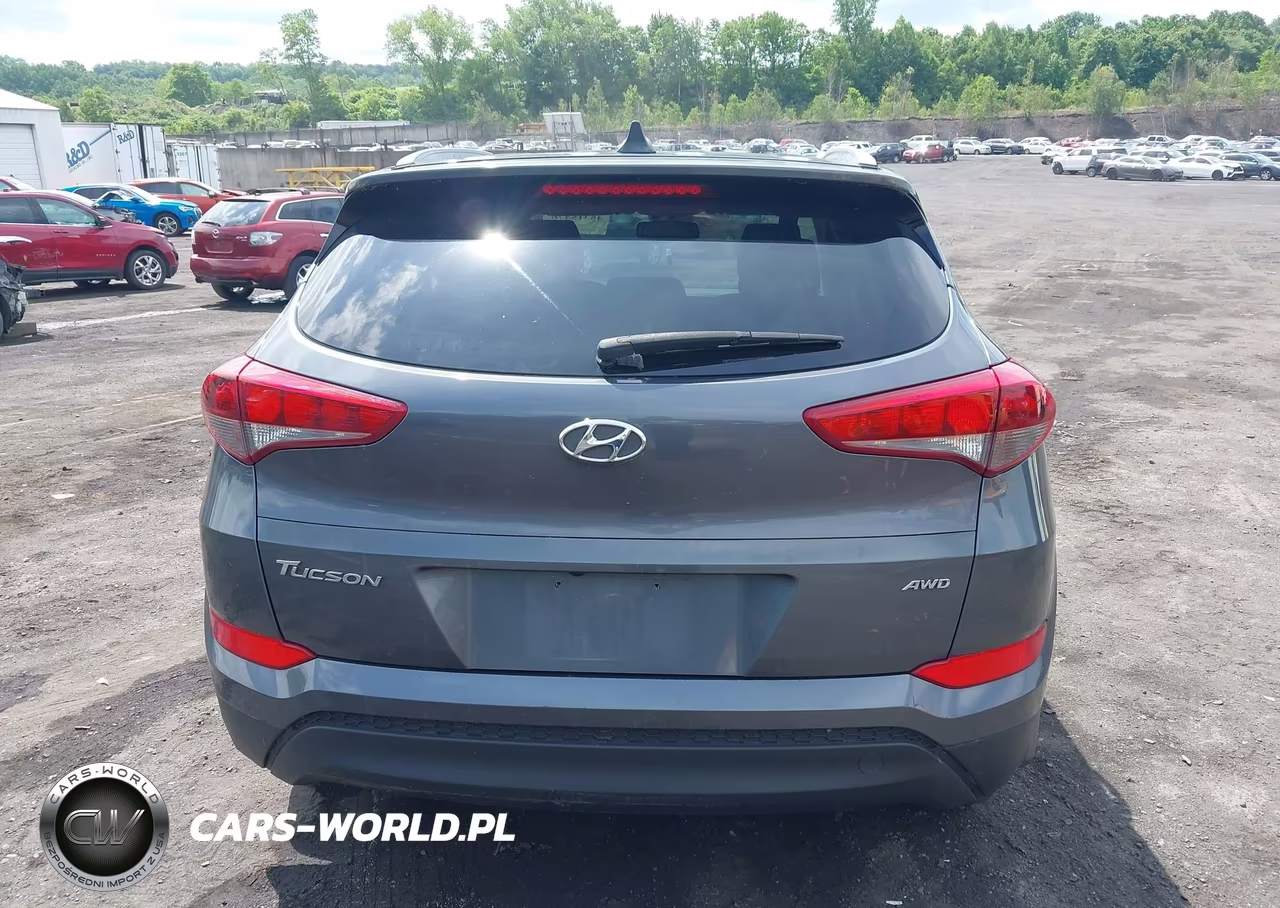 2018 Hyundai Tucson Sel Plus VIN:KM8J3CA41JU832788 - 16