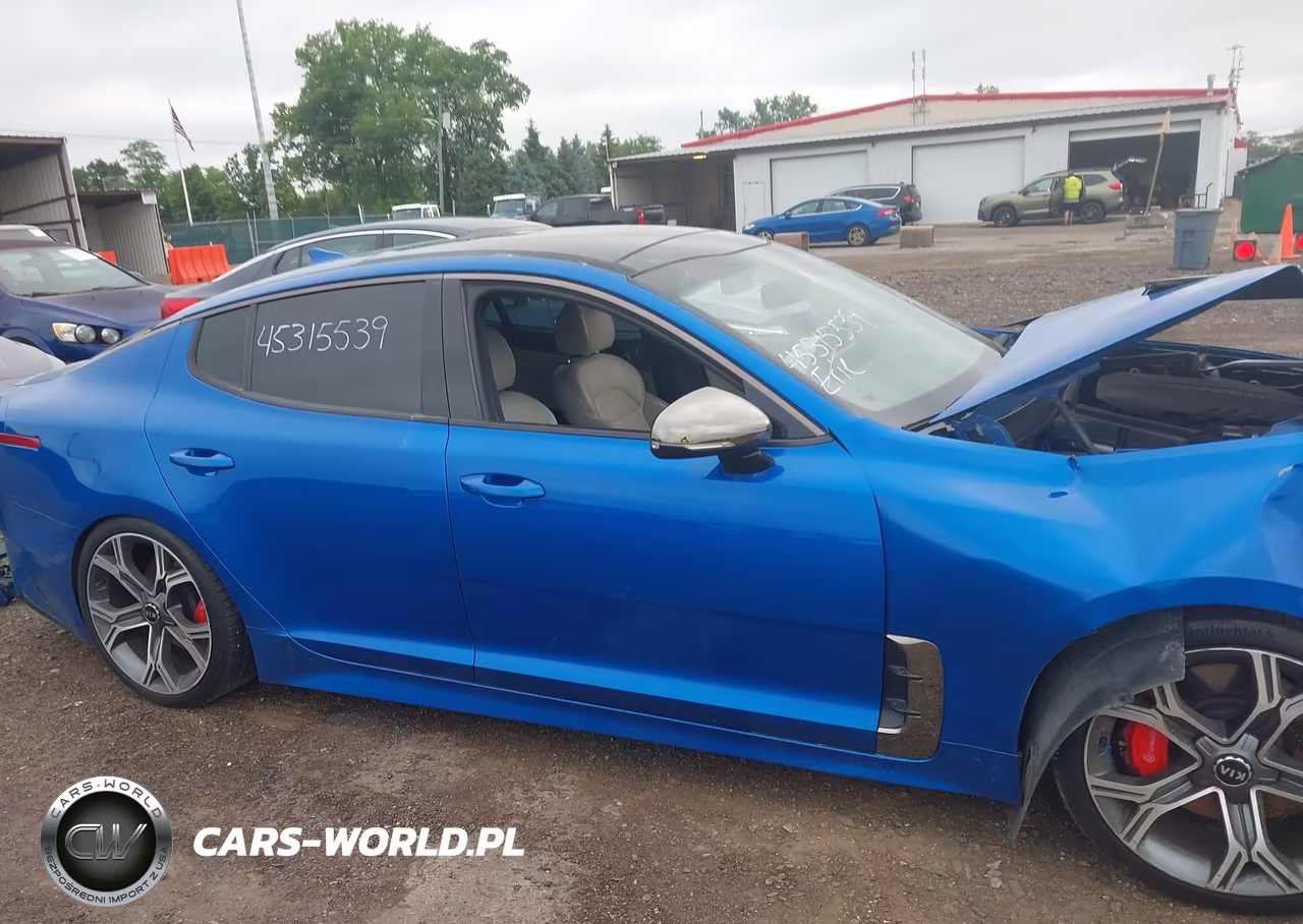 2018 Kia Stinger Gt2 VIN:KNAE55LC0J6019167 - 13