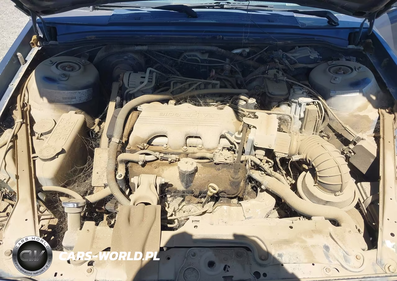 1995 Oldsmobile Ciera Sl VIN:1G3AJ55M7S6391416 - 10