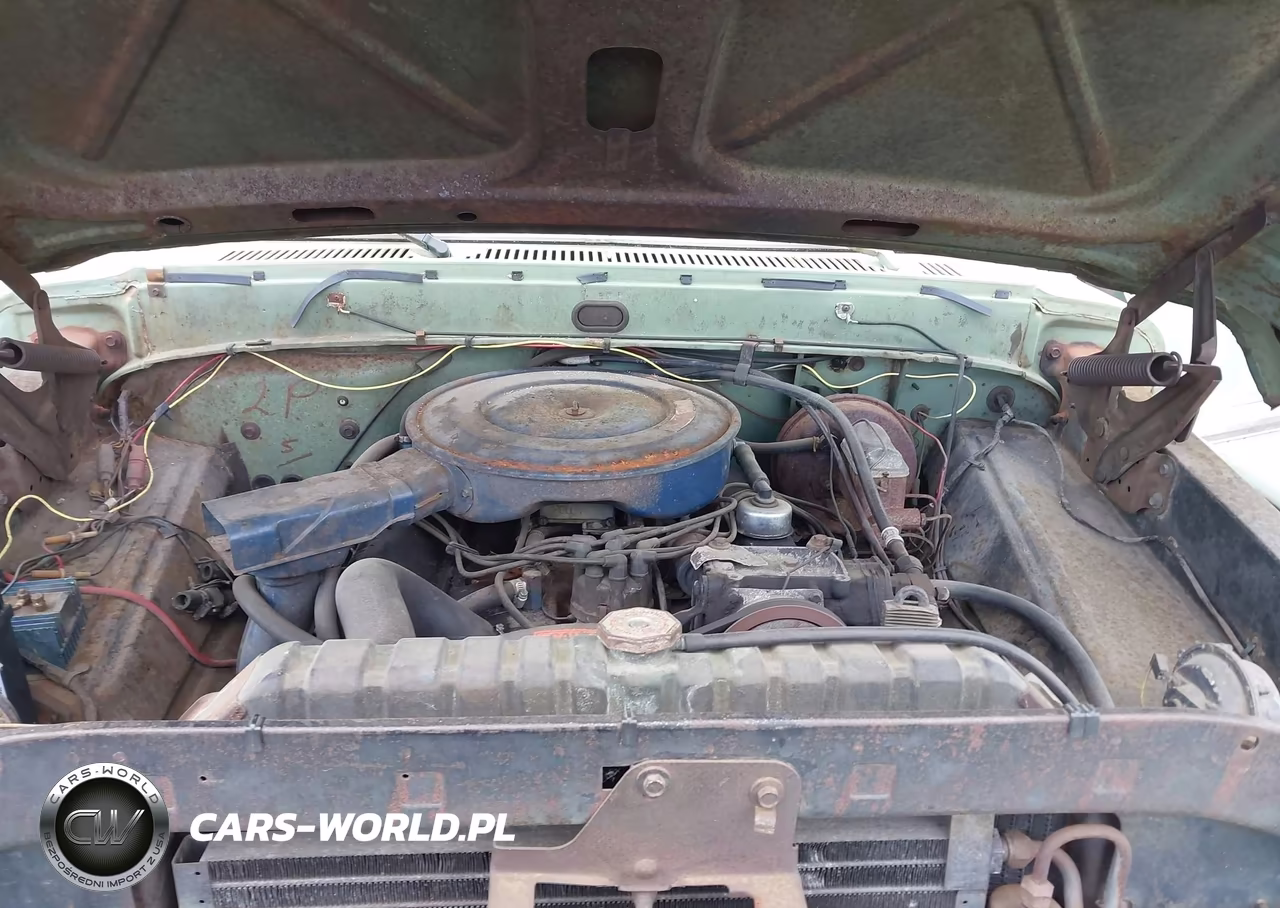 1970 Ford F250 VIN:F25YRJ11012 - 10