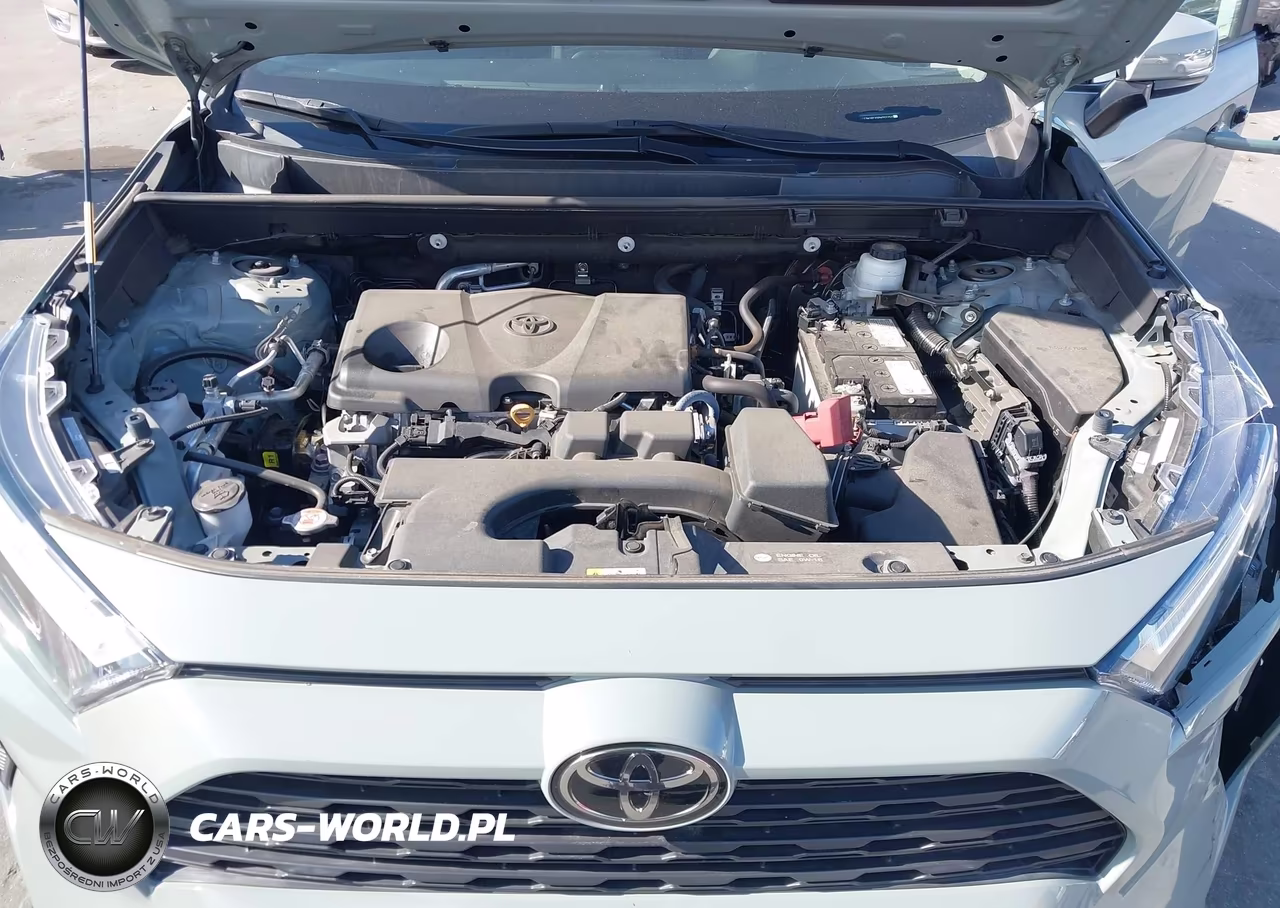 2023 Toyota Rav4 Xle VIN:2T3W1RFVXPW257252 - 10