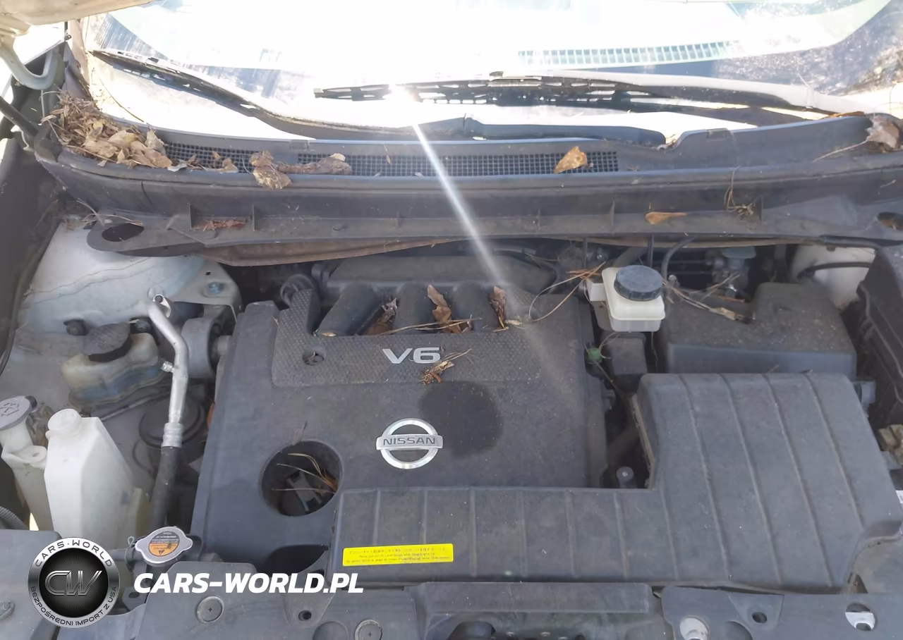2011 Nissan Murano Sv VIN:JN8AZ1MU3BW059111 - 10