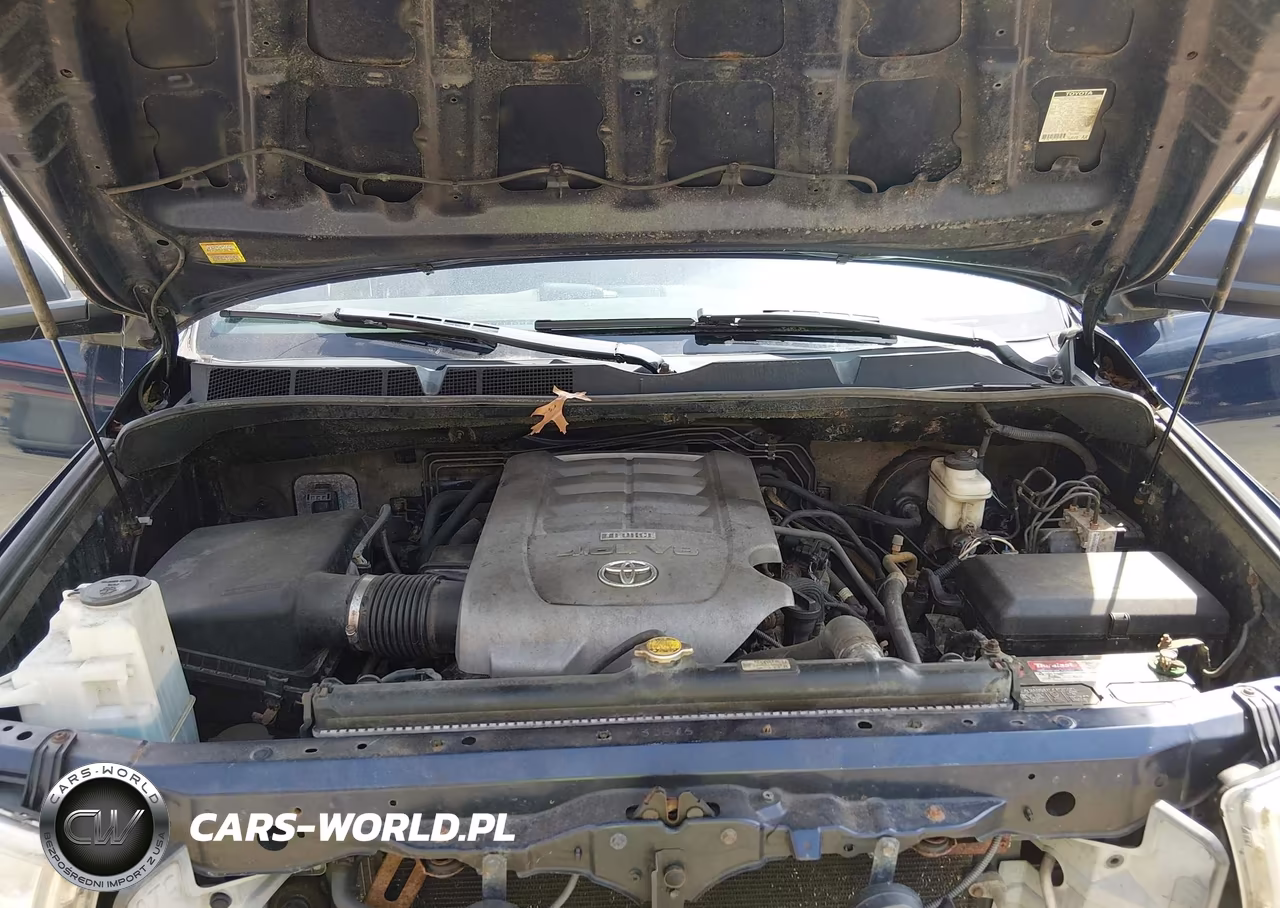 2010 Toyota Tundra Grade 4.6L V8 VIN:5TFUM5F16AX014819 - 10