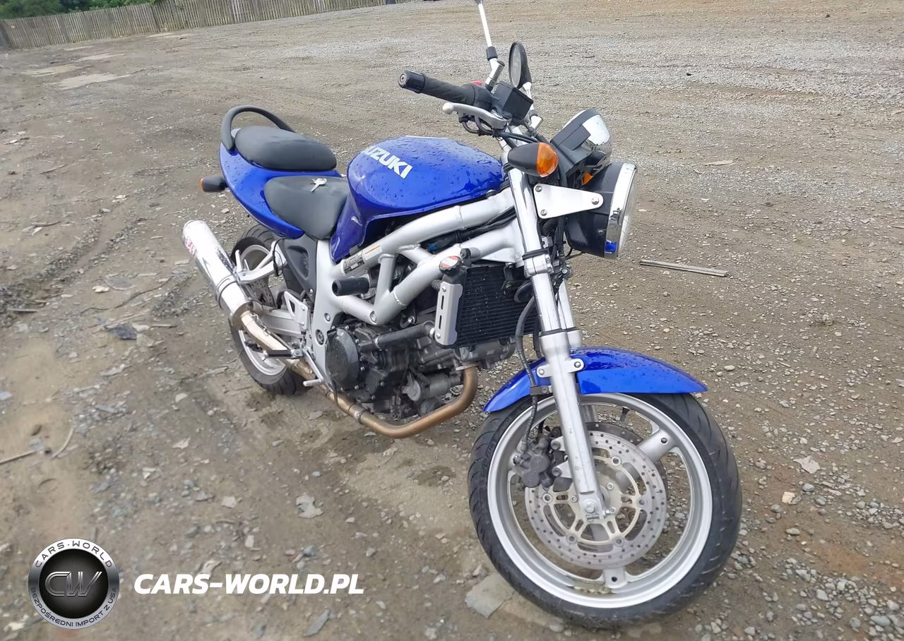 2001 Suzuki Sv650 S – zdjęcie 1 z 13