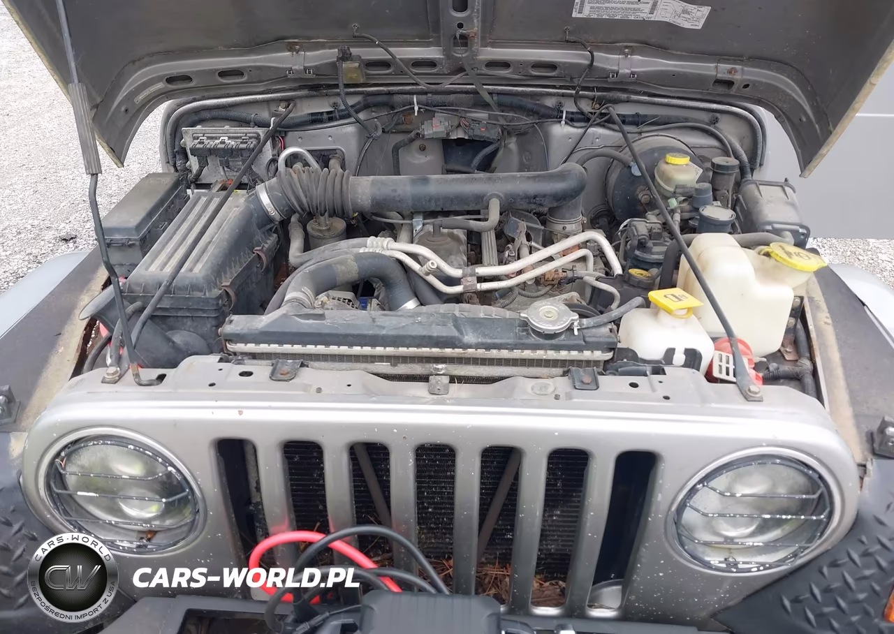 2001 Jeep Wrangler Sport VIN:1J4FA49S11P346791 - 10