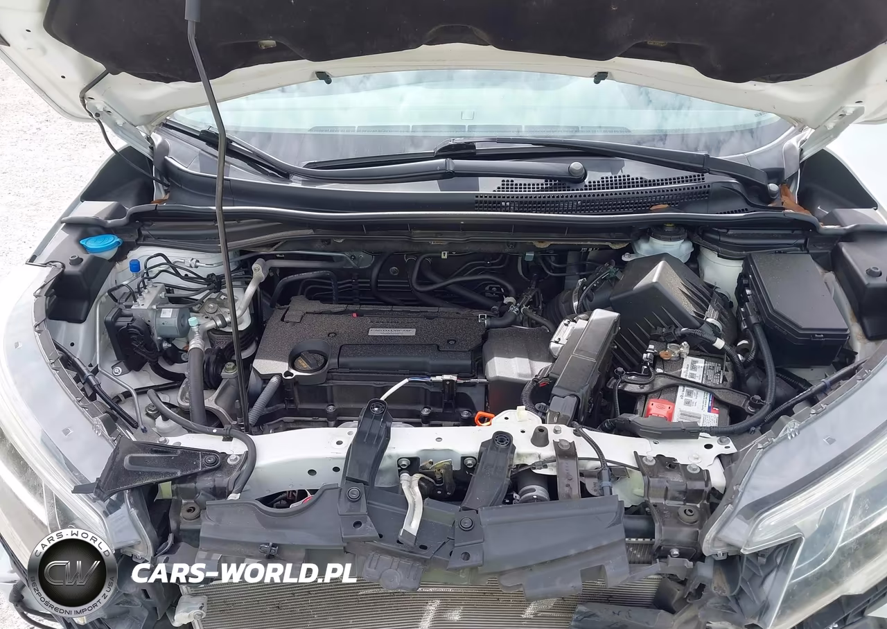 2016 Honda Cr-V Lx VIN:5J6RM3H31GL024371 - 10