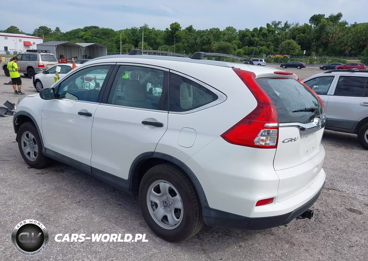 2016 Honda Cr-V Lx VIN:5J6RM3H31GL024371 - 3