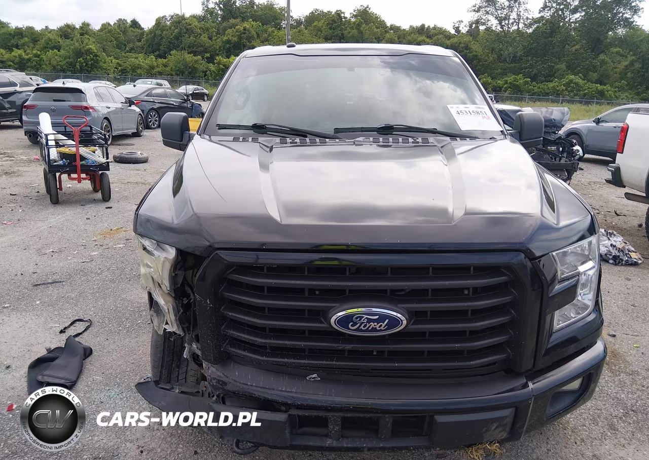 2016 Ford F-150 Xlt VIN:1FTFW1EG5GFC37076 - 12