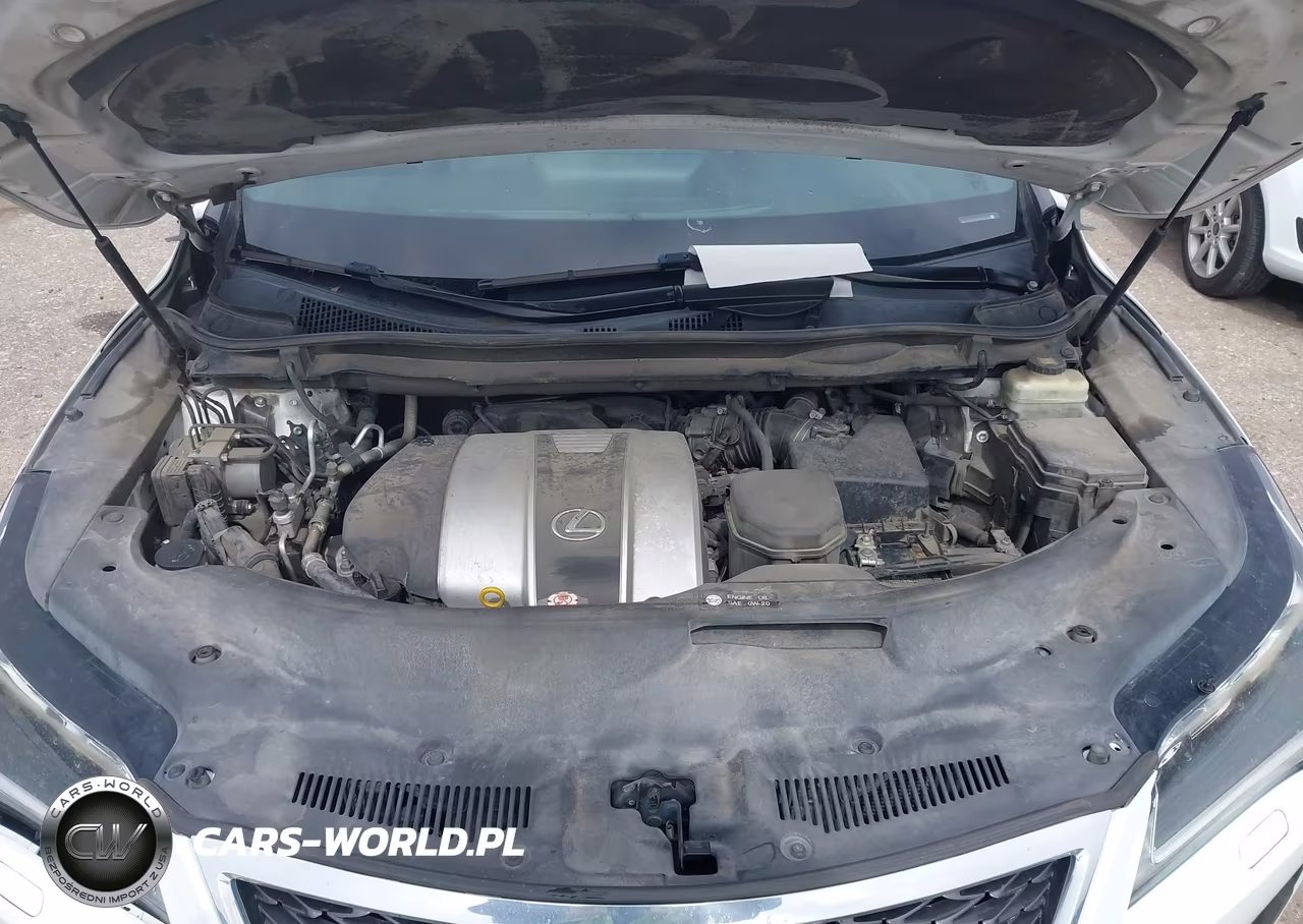 2017 Lexus Rx 350 F Sport VIN:2T2ZZMCAXHC087248 - 10