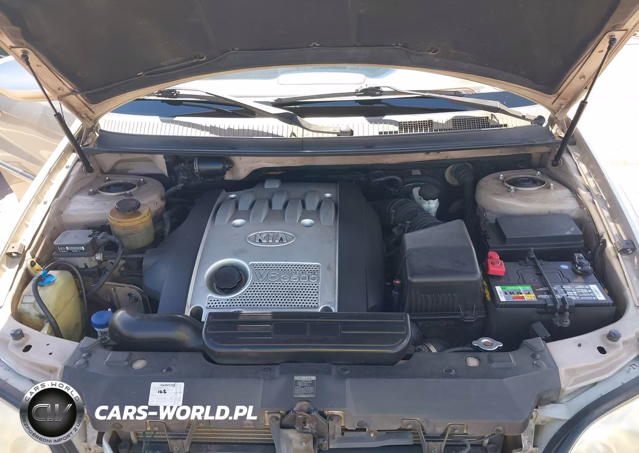 2005 Kia Sedona Ex-Lx VIN:KNDUP132456721281 - 10