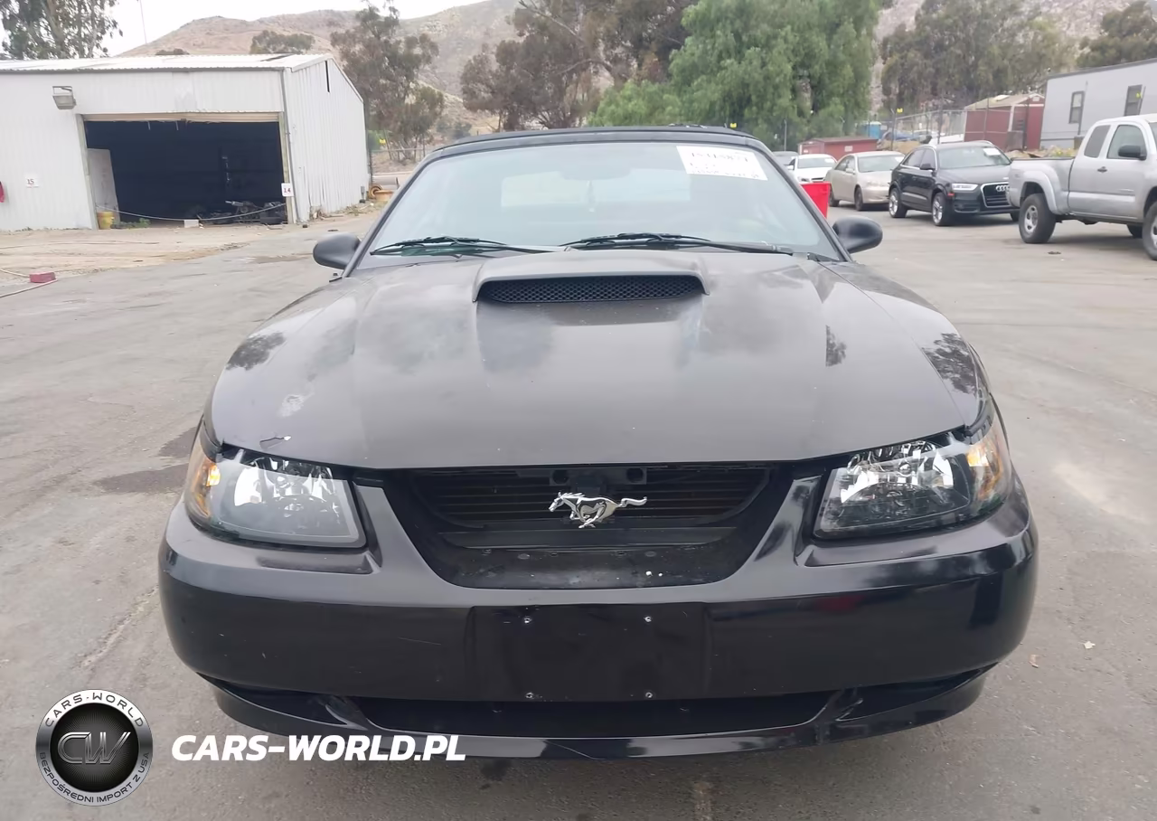 2002 Ford Mustang Gt-Gt Premium VIN:1FAFP45X12F110631 - 6