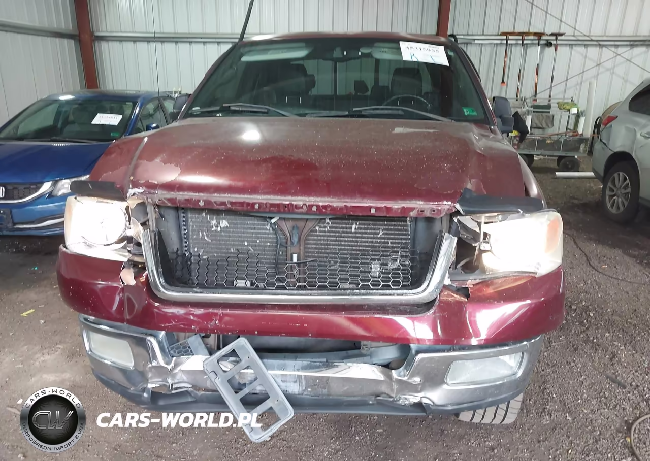 2004 Ford F-150 Lariat-Xl-Xlt VIN:1FTPX12504NB42396 - 10