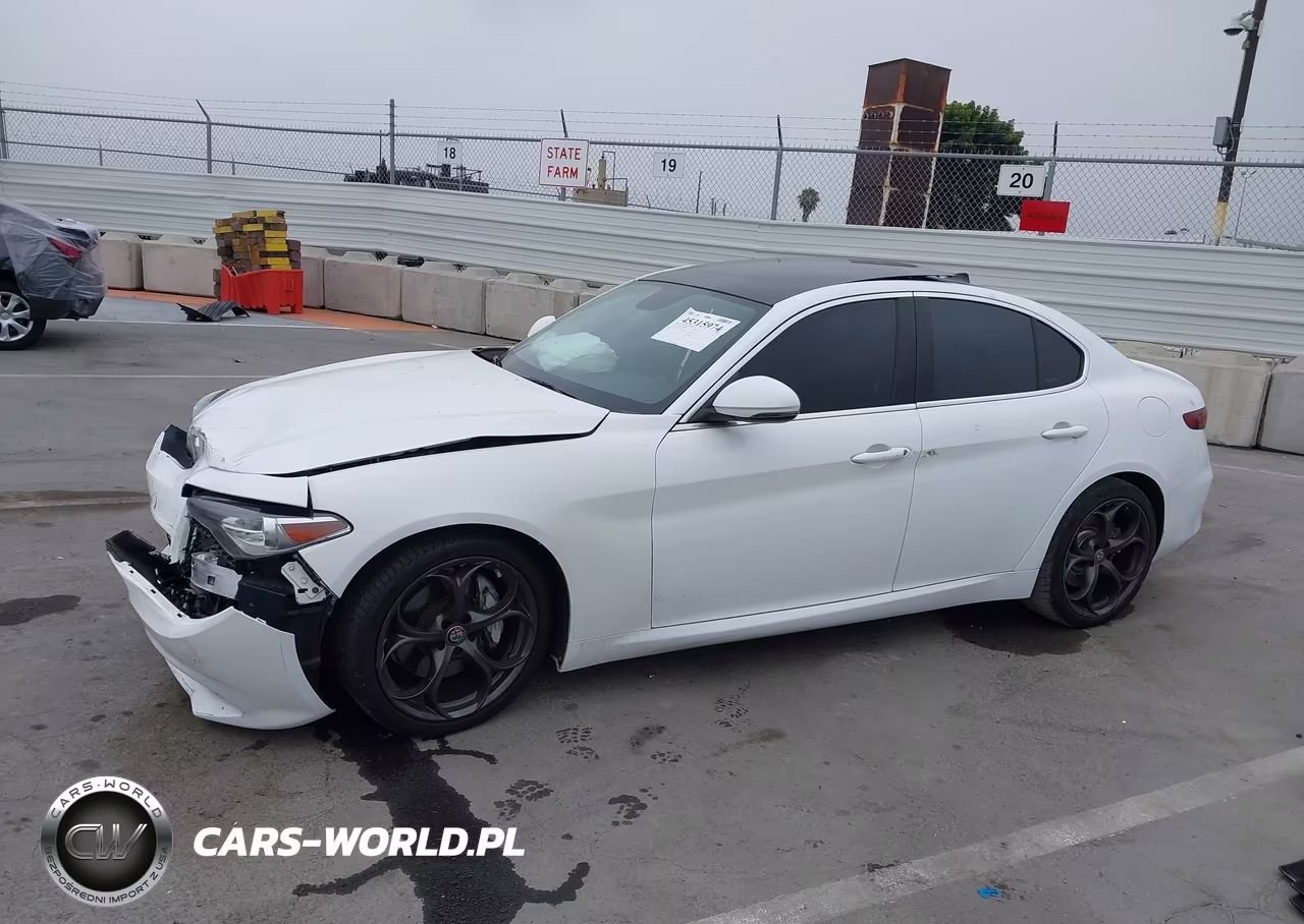 2019 Alfa Romeo Giulia Rwd VIN:ZARFAMAN5K7600148 - 14