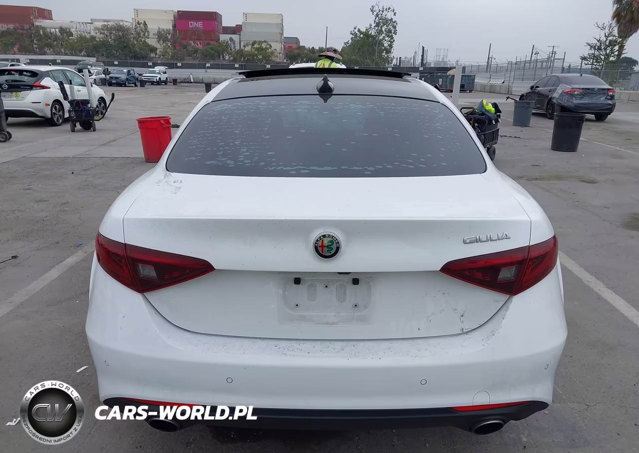 2019 Alfa Romeo Giulia Rwd VIN:ZARFAMAN5K7600148 - 16