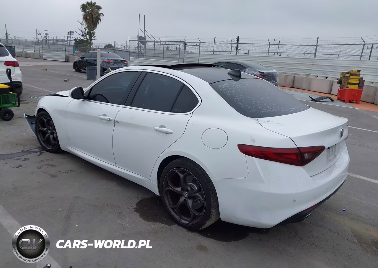 2019 Alfa Romeo Giulia Rwd VIN:ZARFAMAN5K7600148 - 3