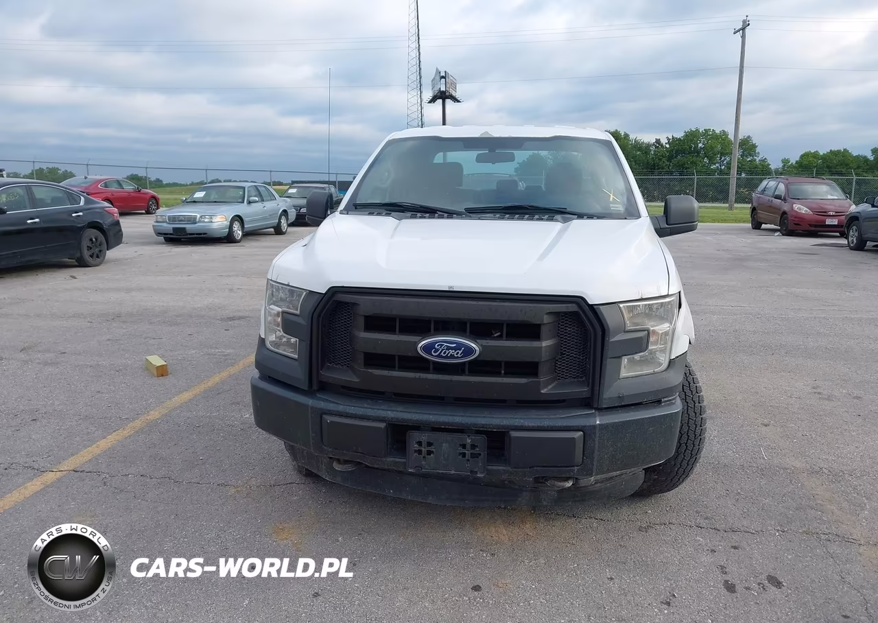 2015 Ford F-150 Xl VIN:1FTFX1EG5FKD57480 - 12