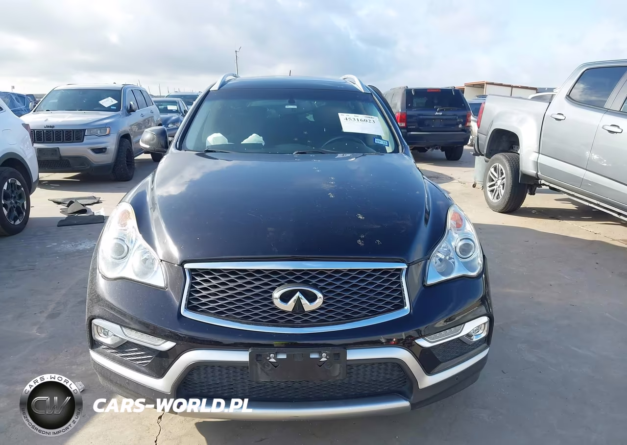 2016 Infiniti Qx50 VIN:JN1BJ0RP1GM232439 - 13