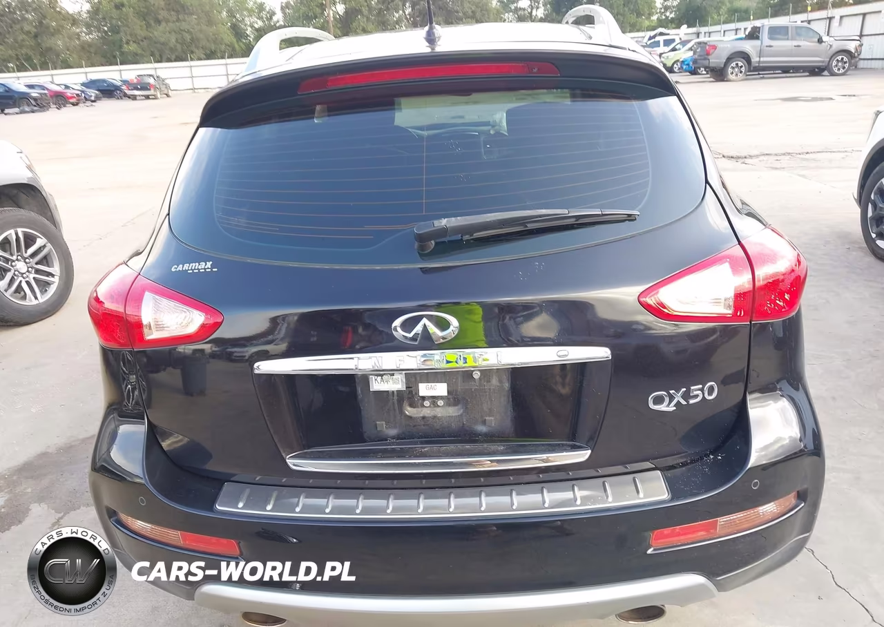 2016 Infiniti Qx50 VIN:JN1BJ0RP1GM232439 - 17