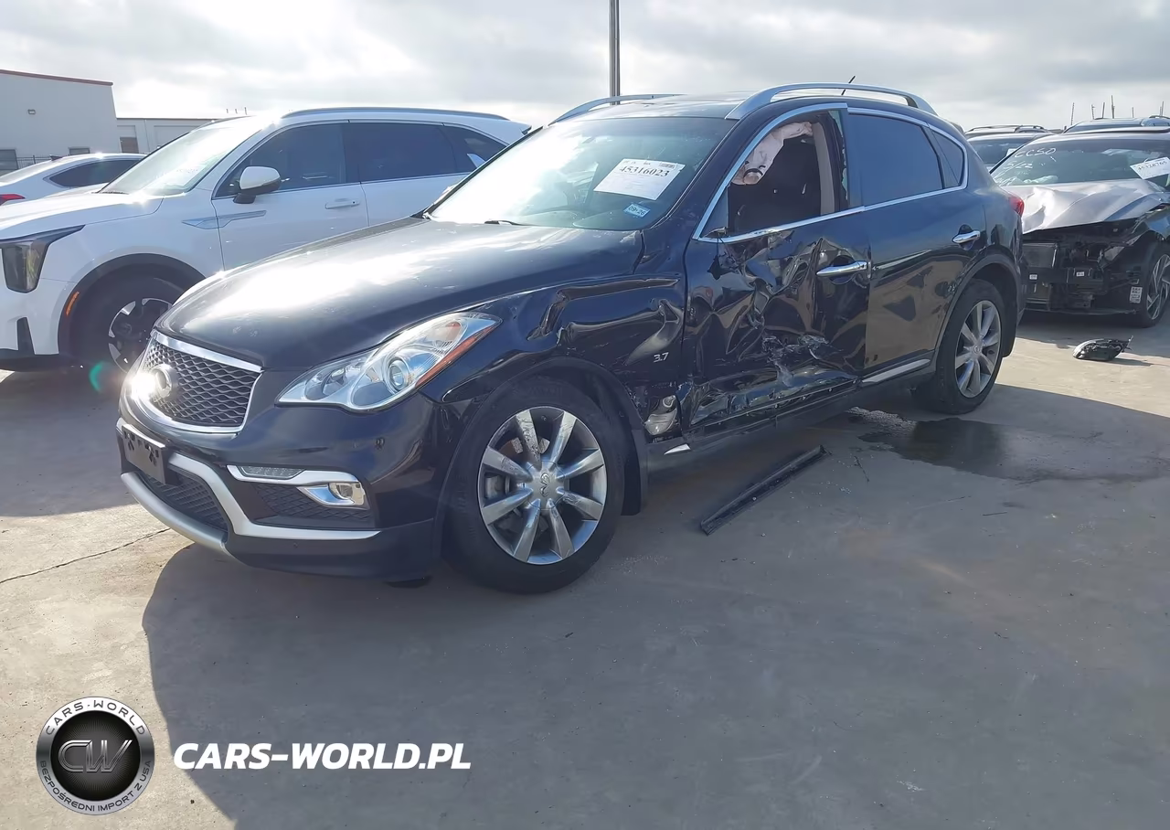 2016 Infiniti Qx50 VIN:JN1BJ0RP1GM232439 - 2
