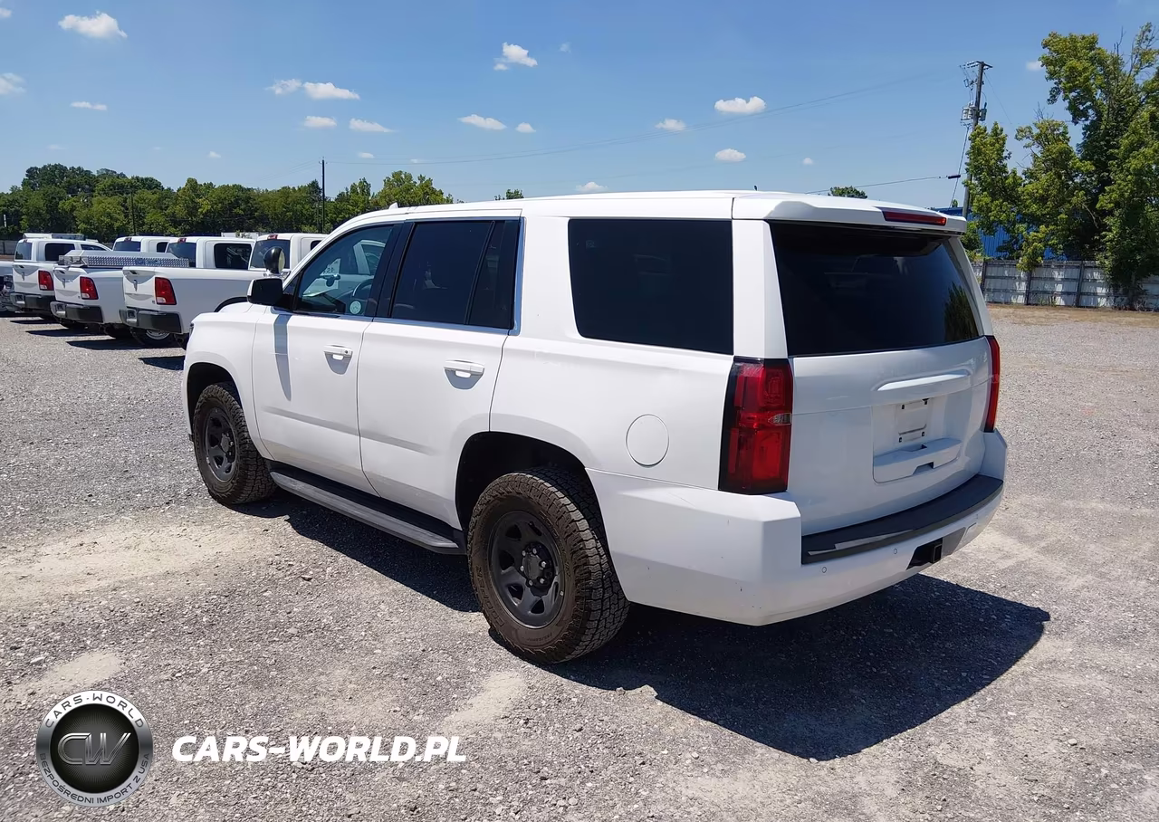 2019 Chevrolet Tahoe Commercial Fleet VIN:1GNLCDECXKR378881 - 3