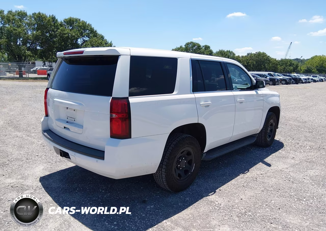 2019 Chevrolet Tahoe Commercial Fleet VIN:1GNLCDECXKR378881 - 4