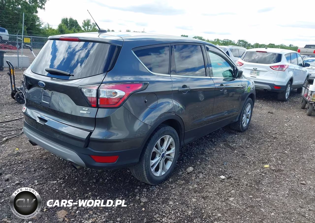 2017 Ford Escape Se VIN:1FMCU9GDXHUA32971 - 4