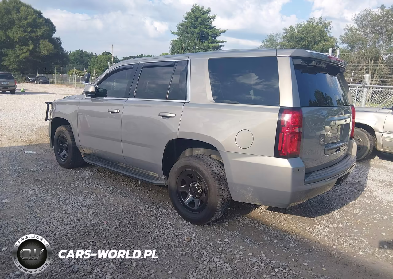 2019 Chevrolet Tahoe Commercial Fleet VIN:1GNLCDECXKR341295 - 3