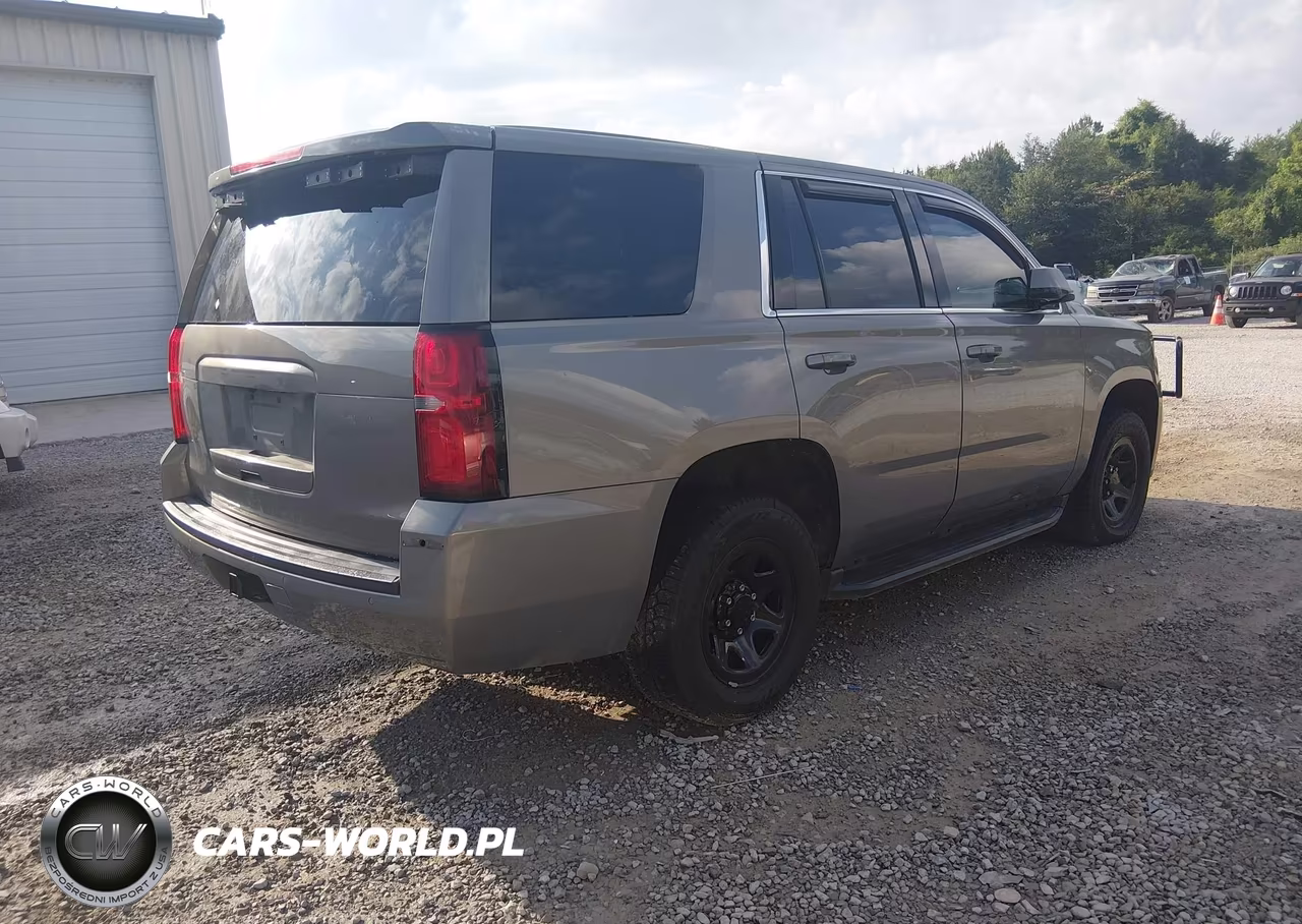 2019 Chevrolet Tahoe Commercial Fleet VIN:1GNLCDECXKR341295 - 4