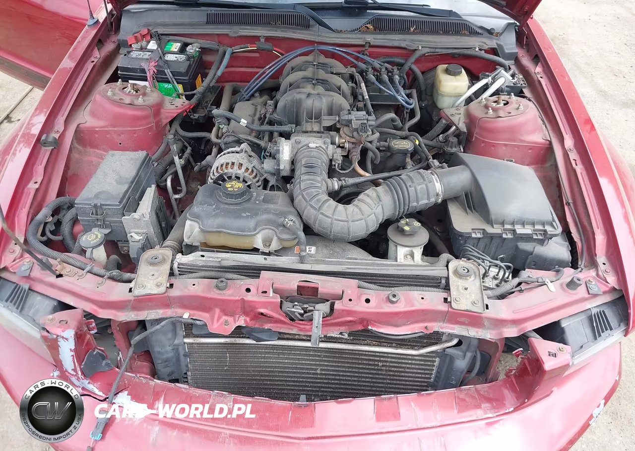 2006 Ford Mustang V6 VIN:1ZVHT84NX65209687 - 10