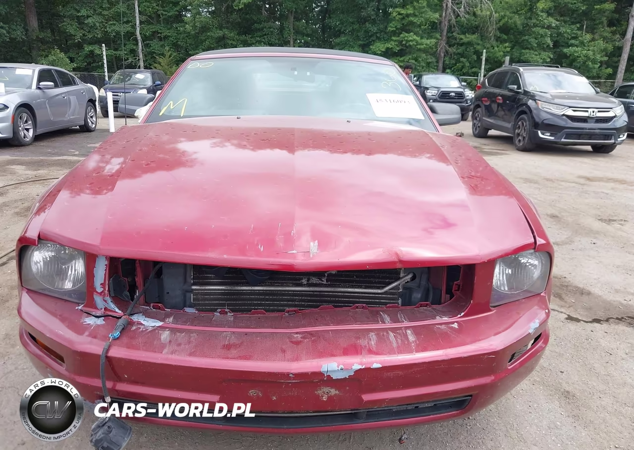 2006 Ford Mustang V6 VIN:1ZVHT84NX65209687 - 12