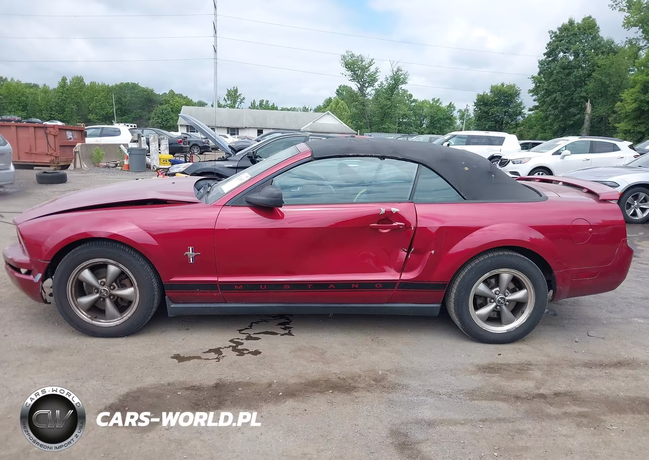 2006 Ford Mustang V6 VIN:1ZVHT84NX65209687 - 14