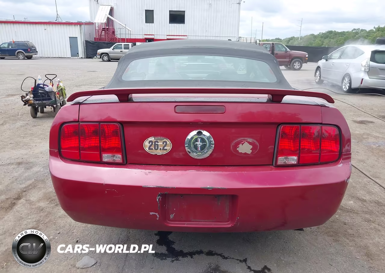 2006 Ford Mustang V6 VIN:1ZVHT84NX65209687 - 16