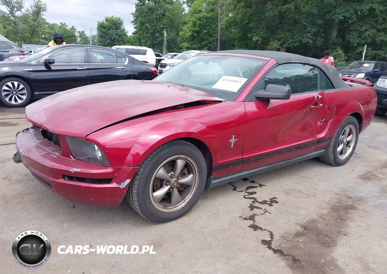 2006 Ford Mustang V6 VIN:1ZVHT84NX65209687 - 2