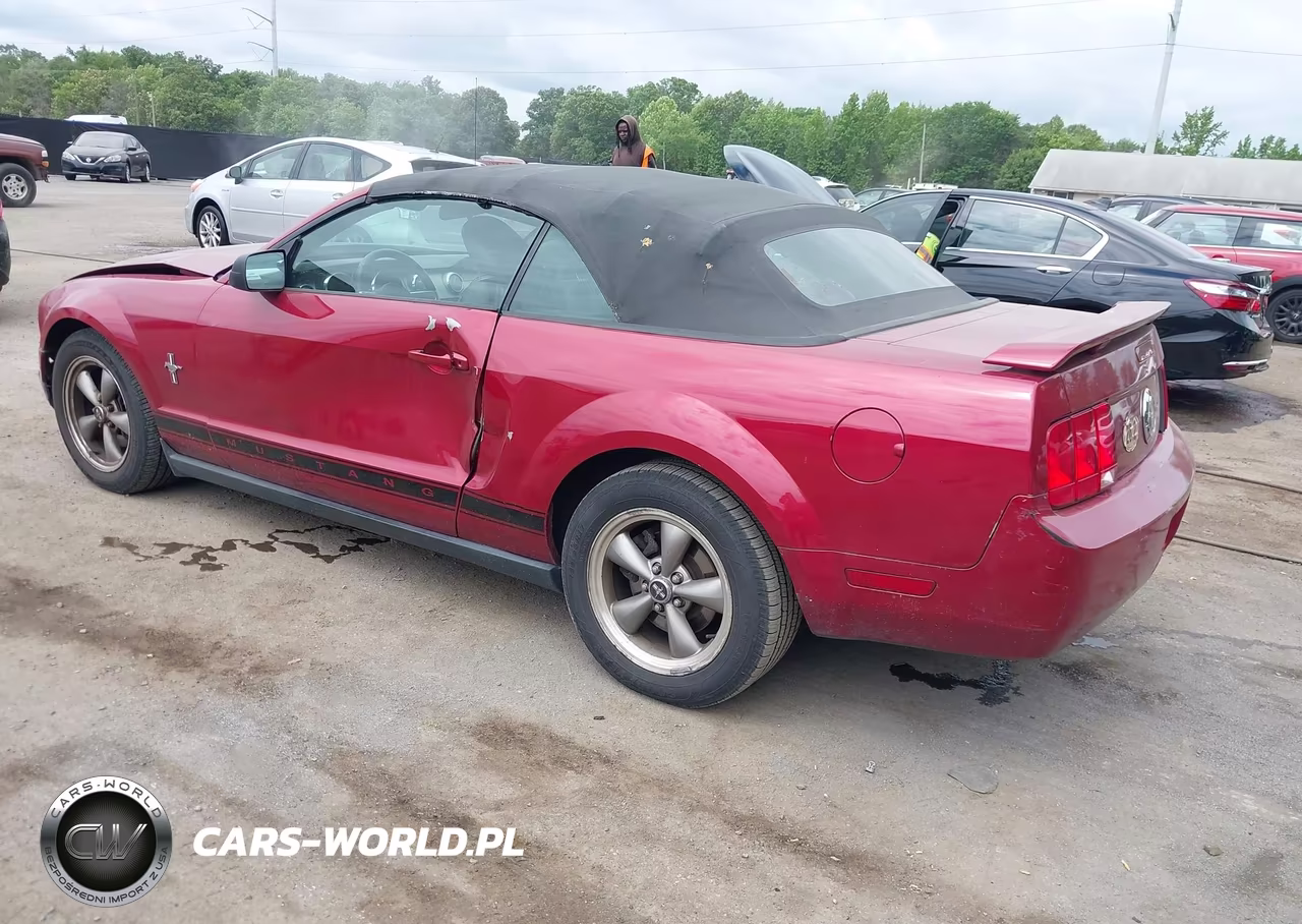 2006 Ford Mustang V6 VIN:1ZVHT84NX65209687 - 3