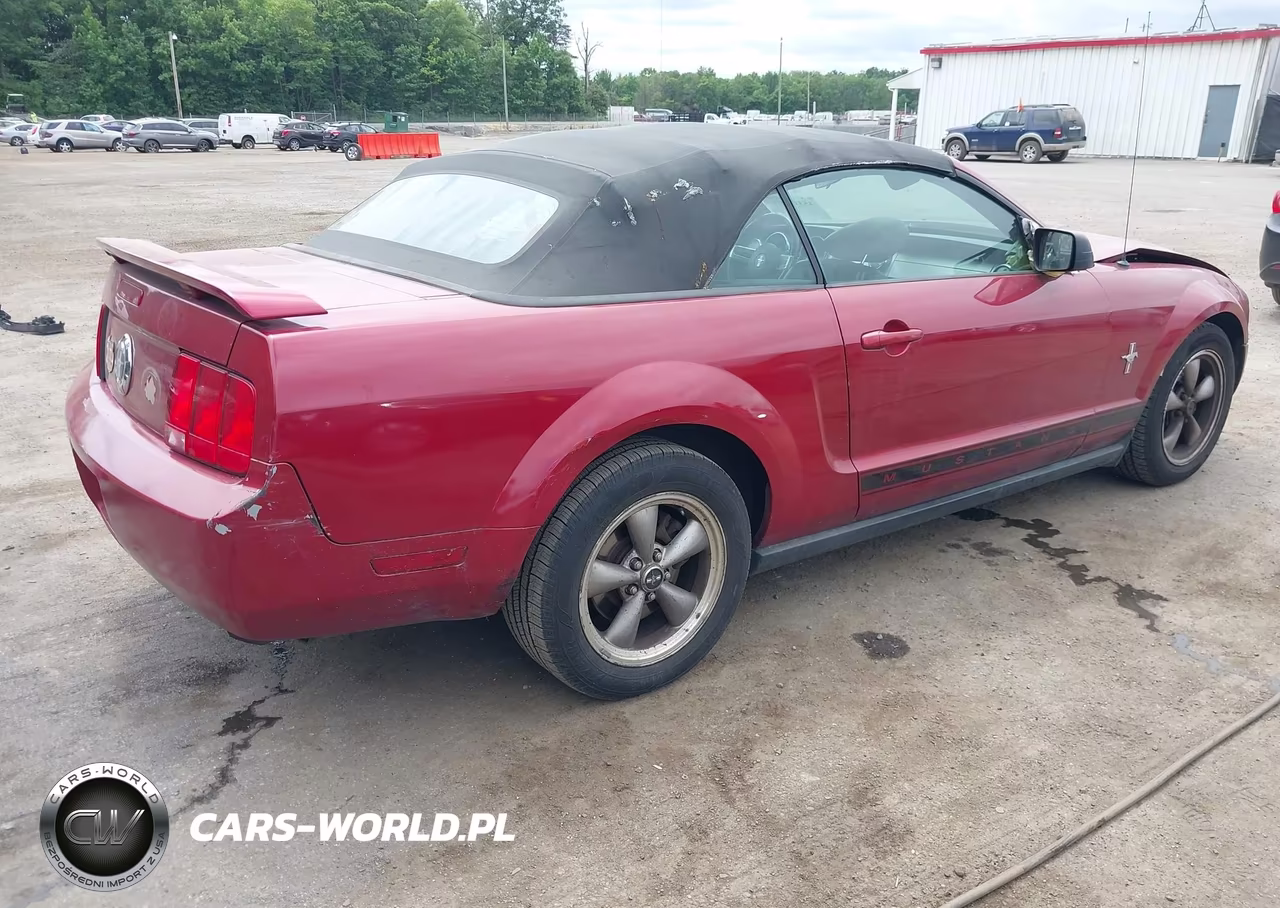 2006 Ford Mustang V6 VIN:1ZVHT84NX65209687 - 4