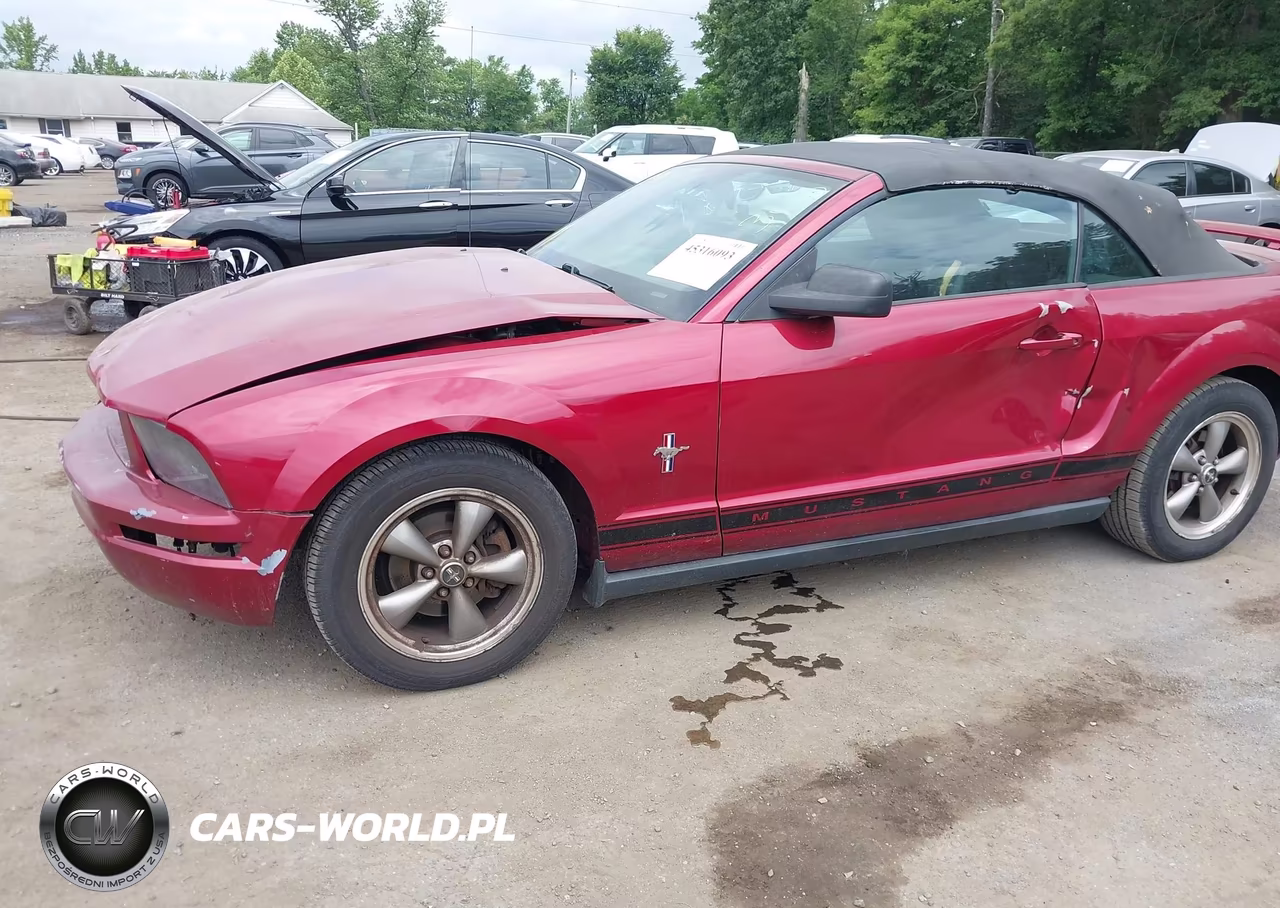 2006 Ford Mustang V6 VIN:1ZVHT84NX65209687 - 6
