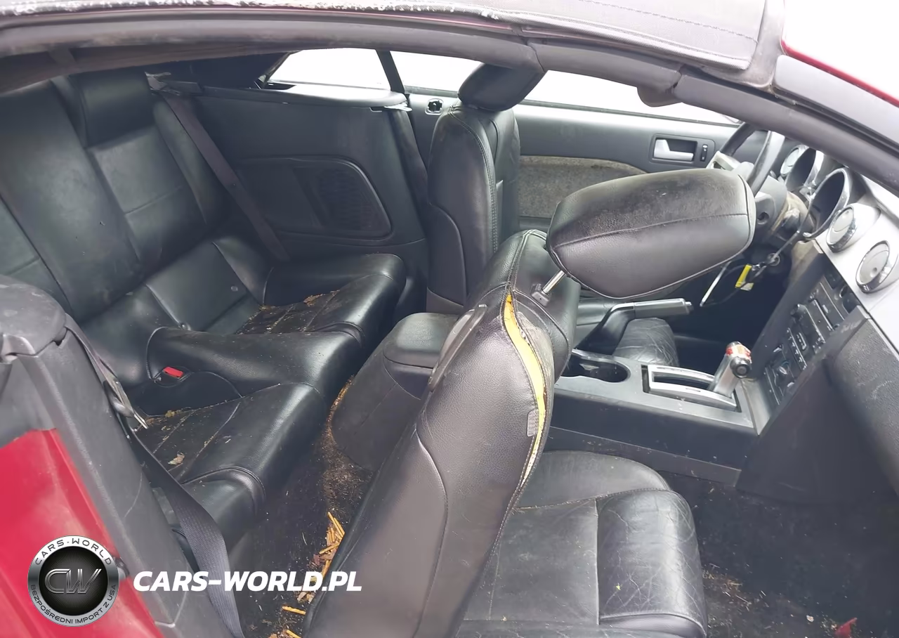 2006 Ford Mustang V6 VIN:1ZVHT84NX65209687 - 8